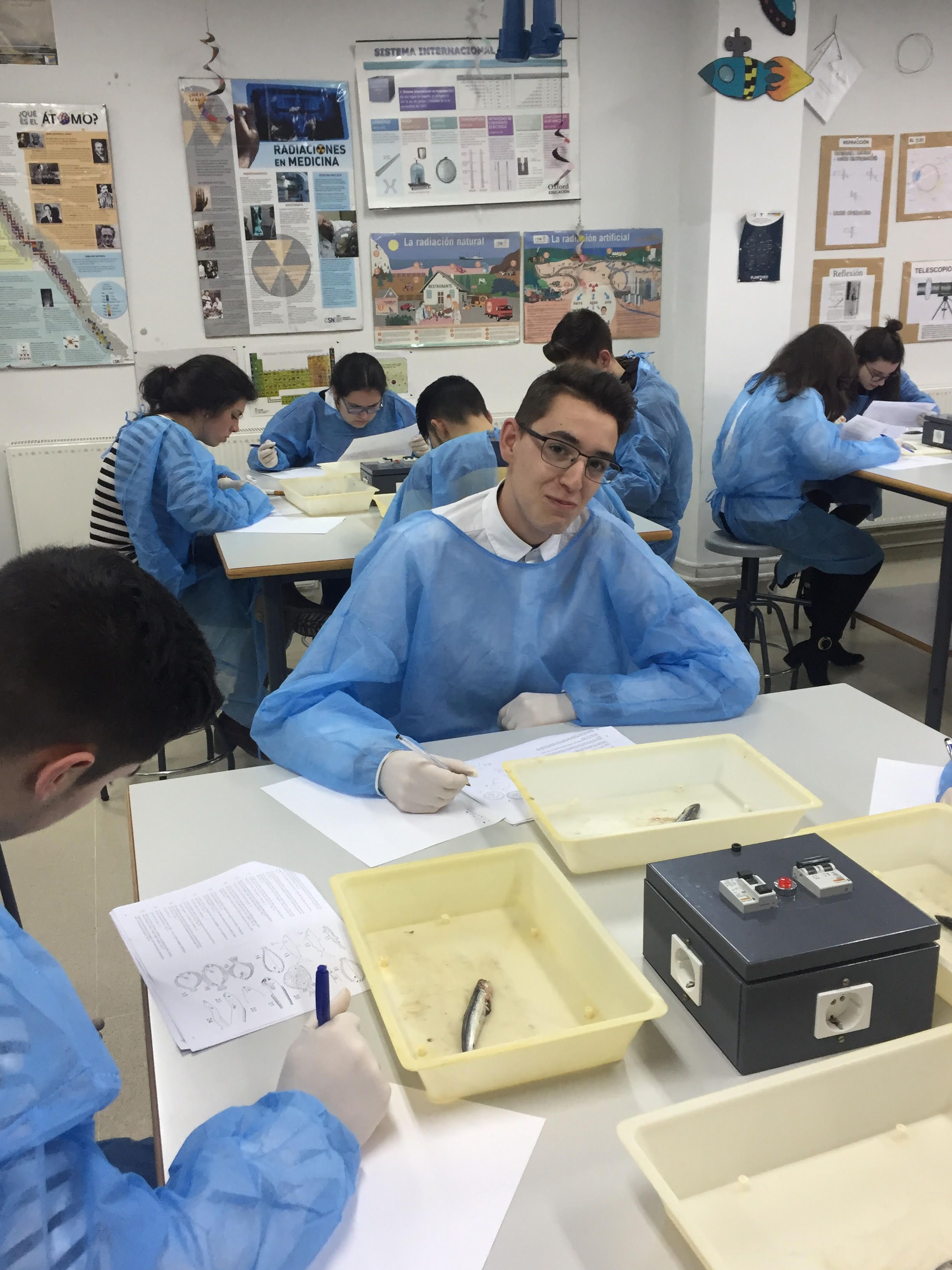 2016-2017-OlimpBiologia2